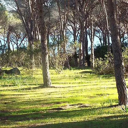 Con Giardino A Budoni